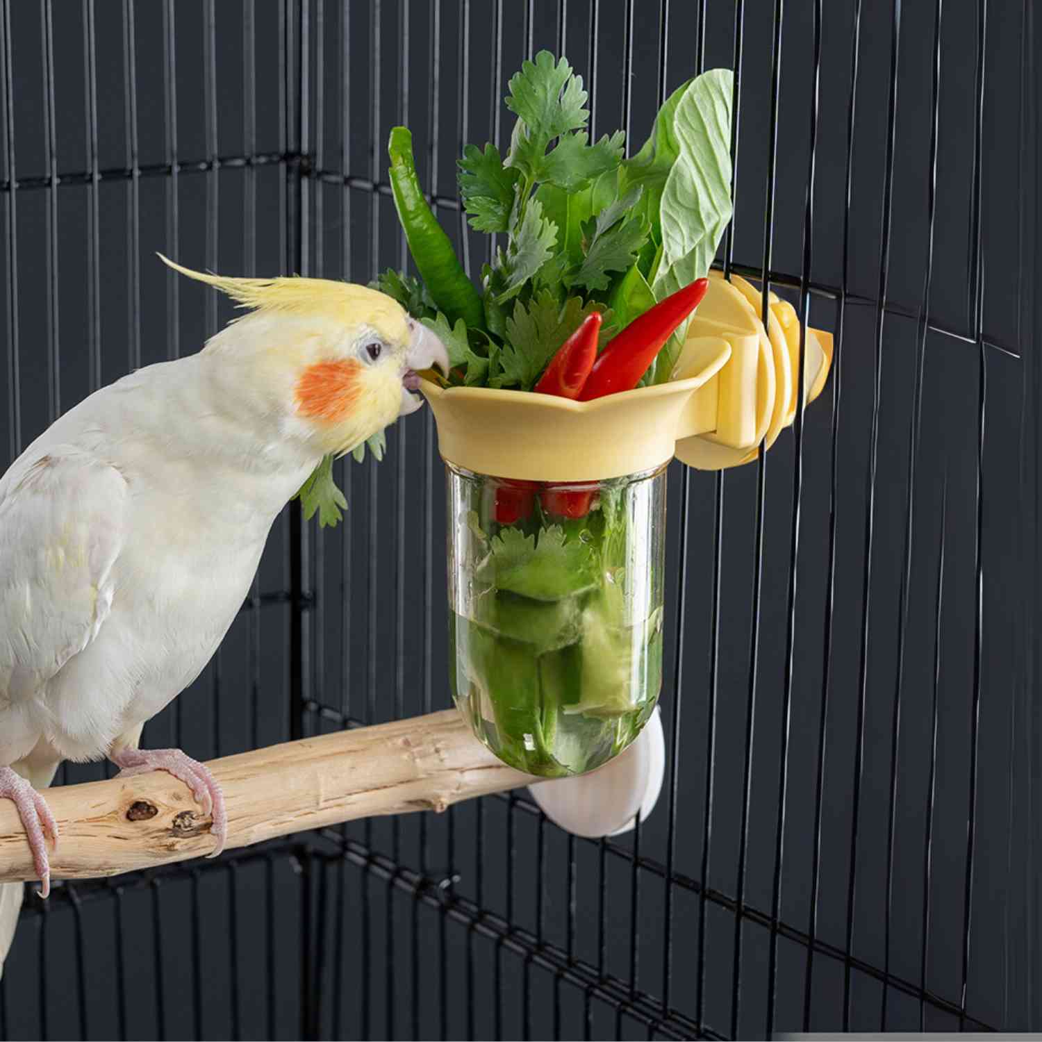papegaai hydroponische fles geel met groenten en witte parkiet
